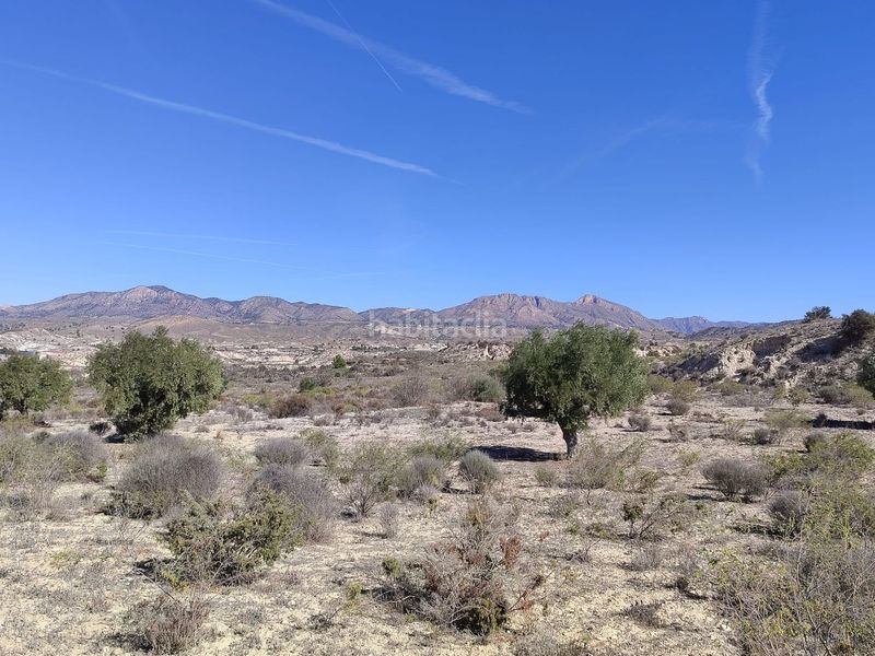 Foto afbe08c7-a5f2-49c5-9822-b5c91409467e. Finca rústica en Abanilla