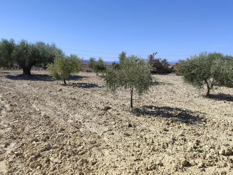 Foto c027ef00-810f-4000-8734-0d915c618e83. Finca rústica en Abanilla