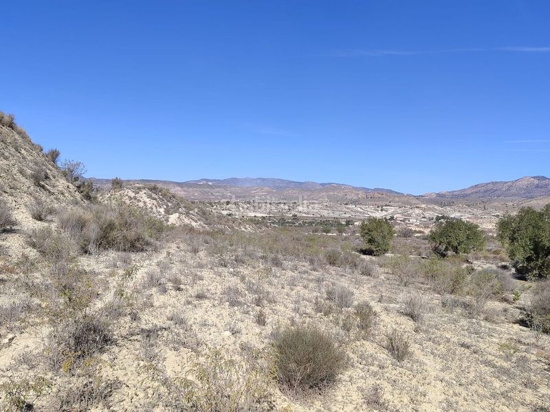 Foto f5b71555-1c4f-47a9-9e78-c1b399c8917a. Finca rústica en Abanilla