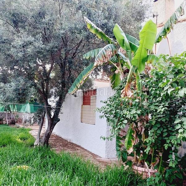 Foto d5592c5f-2506-49da-915c-40be85777fef. Chalet mit parking in Punta Prima Orihuela