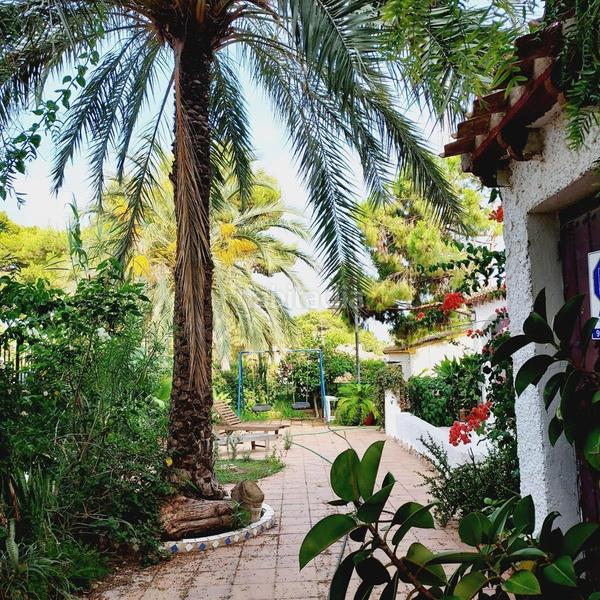 Foto e0385fb5-ef6a-441a-b2dd-eabdc51e4799. Chalet mit parking in Punta Prima Orihuela