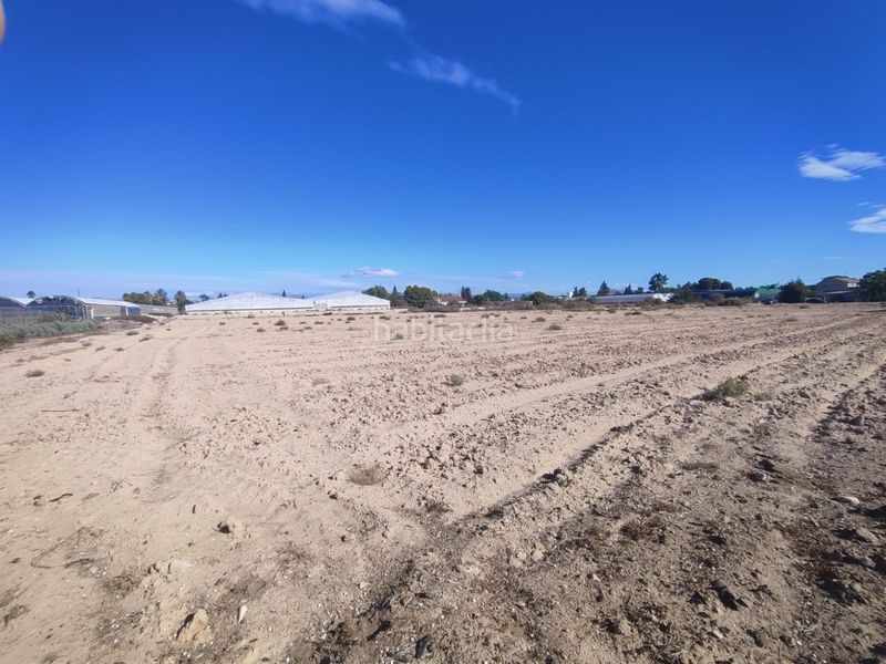 Foto f4f86ddd-215a-495c-b896-68258ba34c74. Finca rústica a Centro Elche / Elx