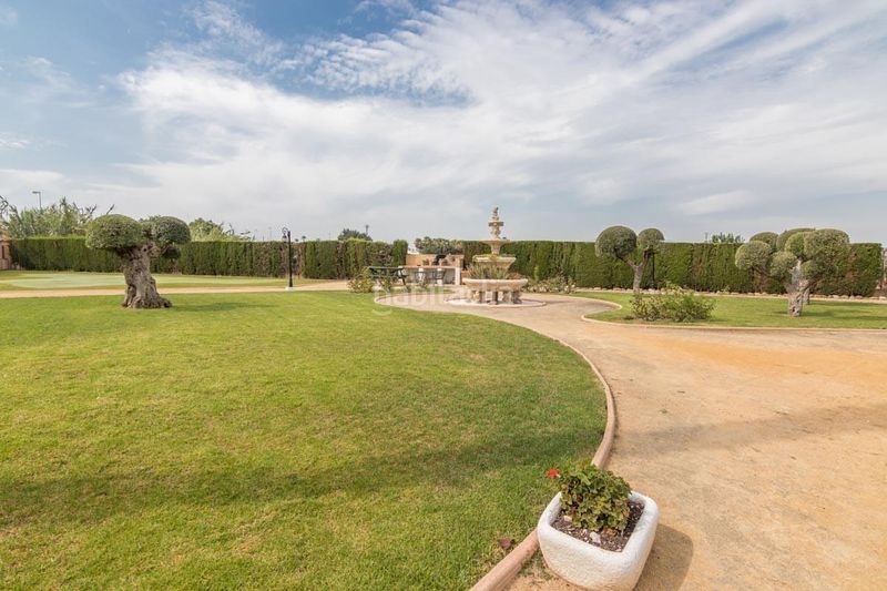 Foto 27debc7d-7dca-4ad2-a3b0-c43c4959c6ca. Piso en Catral