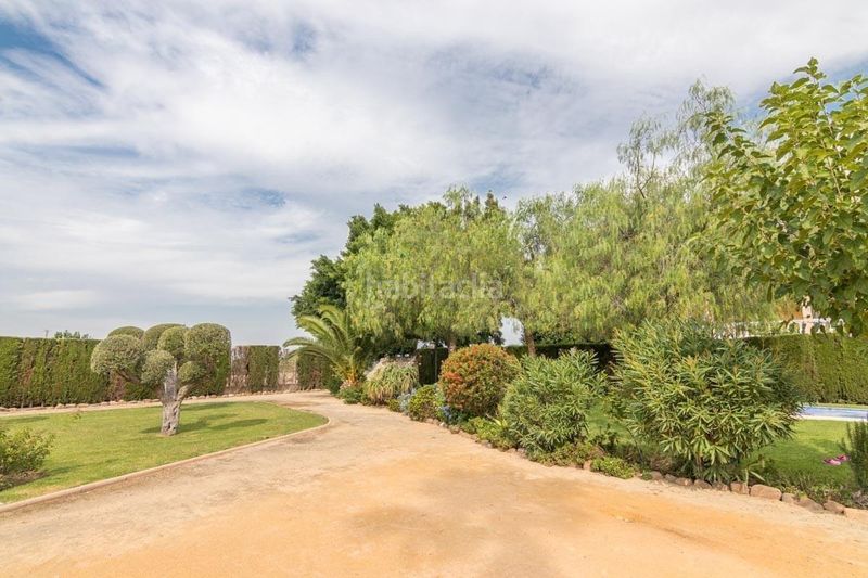 Foto 97248c1d-96af-4256-b003-f71ed5347682. Piso en Catral