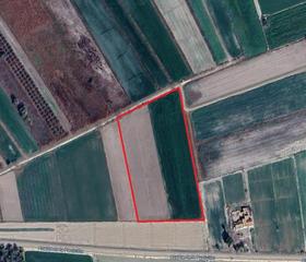 Rural plot in Crevillente