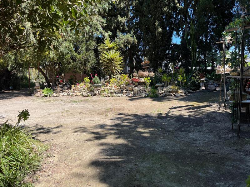 Foto 01323108-4d83-4a57-a408-ebb1a8d5dc3a. Alquiler masía celebra tu día especial en nuestra finca en alquiler finca exclusiva para eventos en Catral