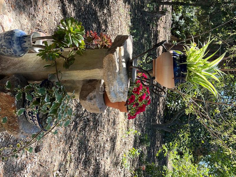 Foto 1688bd36-74d2-4cdf-b73c-bb6e5fdb5b35. Alquiler masía celebra tu día especial en nuestra finca en alquiler finca exclusiva para eventos en Catral