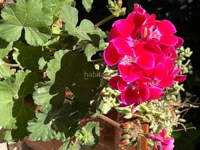 Foto 59ceab0f-80bd-4e4f-8132-5427cce2828d. Alquiler masía celebra tu día especial en nuestra finca en alquiler finca exclusiva para eventos en Catral