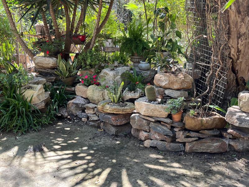 Foto 5b5efa0f-5ade-4192-9cab-5ebd7b9871a1. Alquiler masía celebra tu día especial en nuestra finca en alquiler finca exclusiva para eventos en Catral