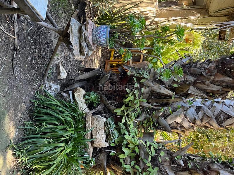 Foto 76dc2406-7270-40cb-a5de-c6bc853008f9. Alquiler masía celebra tu día especial en nuestra finca en alquiler finca exclusiva para eventos en Catral