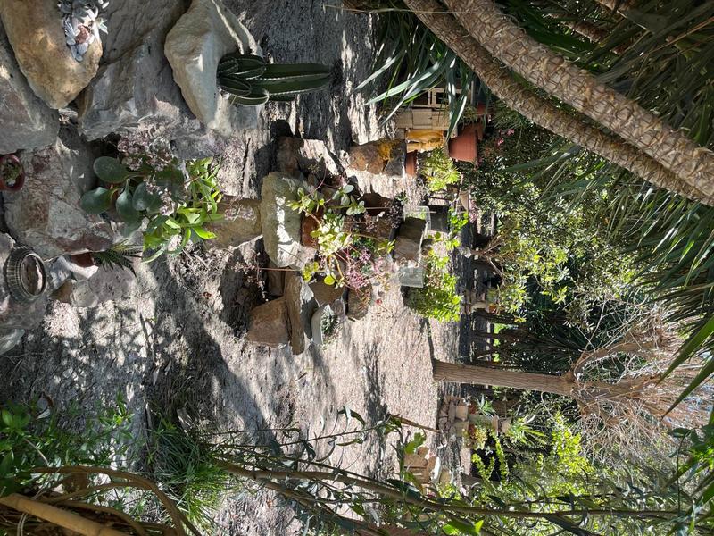 Foto 39684eca-5167-4472-8d50-404a9ca711a2. Miete bauernhof in Catral