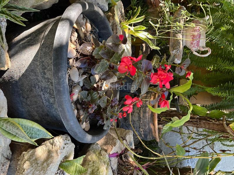 Foto 88f900e5-63f0-4d13-a63d-9cf0d7acf4d7. Miete bauernhof in Catral