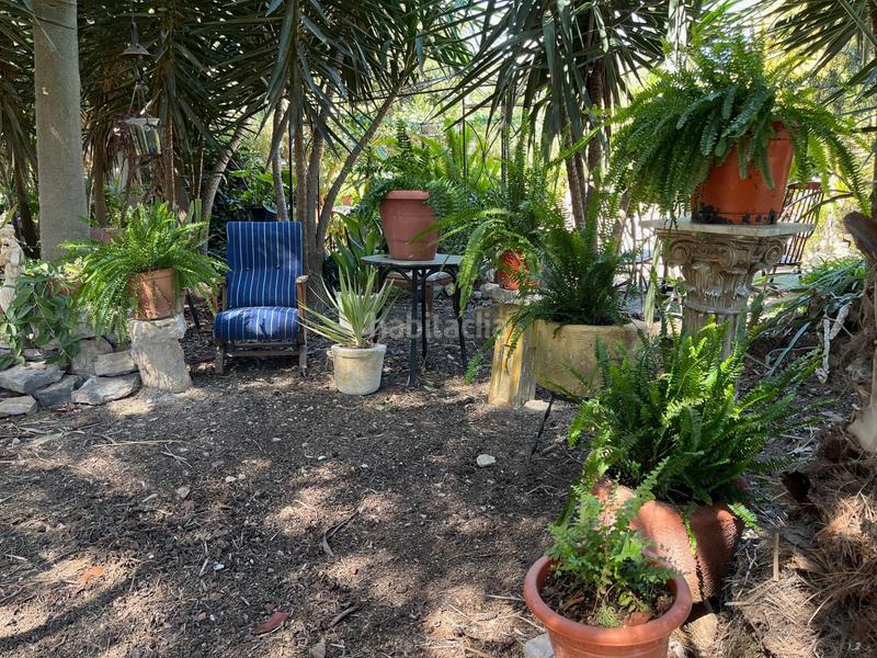 Foto afc608dd-95c7-4d04-832f-e6c4b14d39dc. Miete bauernhof in Catral