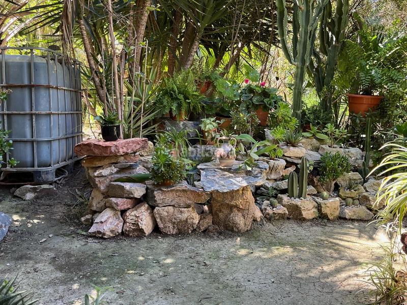 Foto e28bae55-a683-4f8a-944e-aaadc508a3e6. Miete bauernhof in Catral