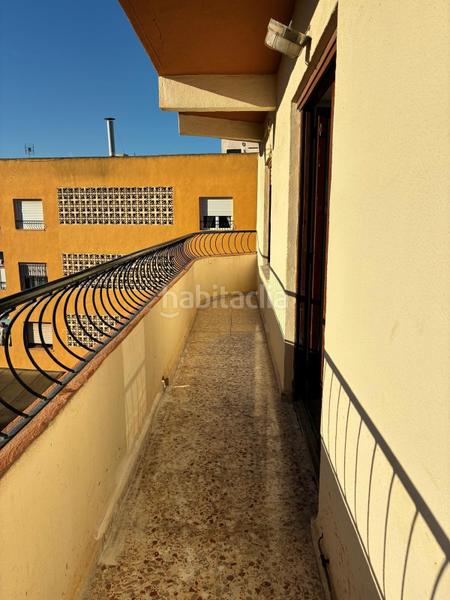 Foto 0c374b05-9bc0-4be5-bf36-b774572029df. Pis a Catral