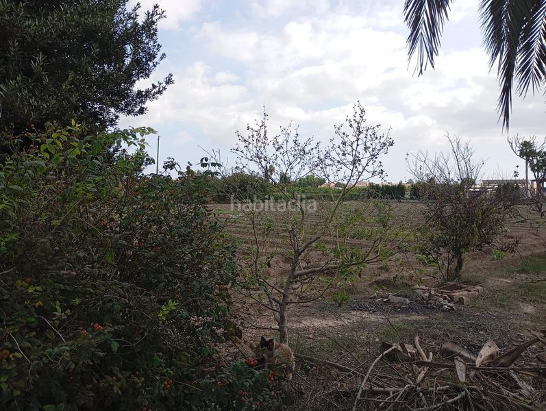 Foto a5690a00-ee1d-4177-8441-a3ac023a7a33. Chalet en Almoradí