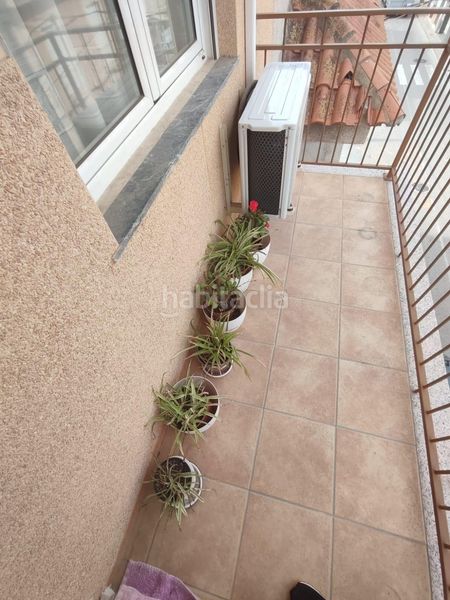 Foto 76a98175-7f82-4add-b434-afdfbfa5c703. Pis a Rojales