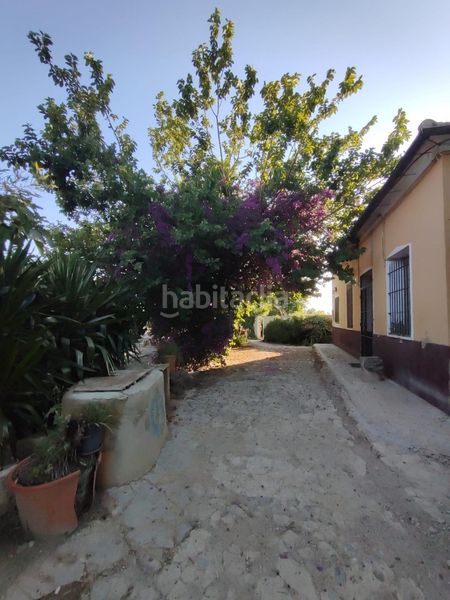 Foto db4a1266-5d21-4dd5-8960-39eceb3e3057. Casa a Almoradí