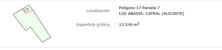 Foto 3db3ed5b-9b9c-43eb-a9c7-6d6d142a7903. Finca rústica a Catral