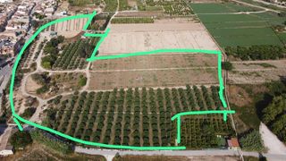 Rural plot in Benijófar. Excelente oportunidad de inversión! parcela agraria de 24.680 m2