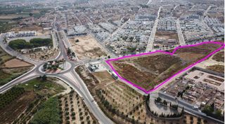 Rural plot in Benijófar. Gran oportunidad de inversión! parcela de 21.612 m2 en benijófar