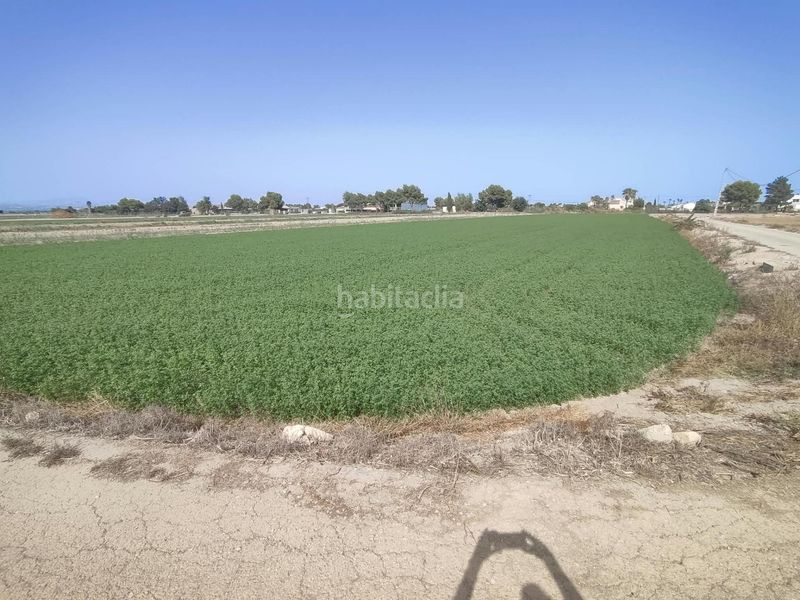 Foto 0e0a279d-bdcf-4f31-a5a7-915013598c0f. Finca rústica a Dolores