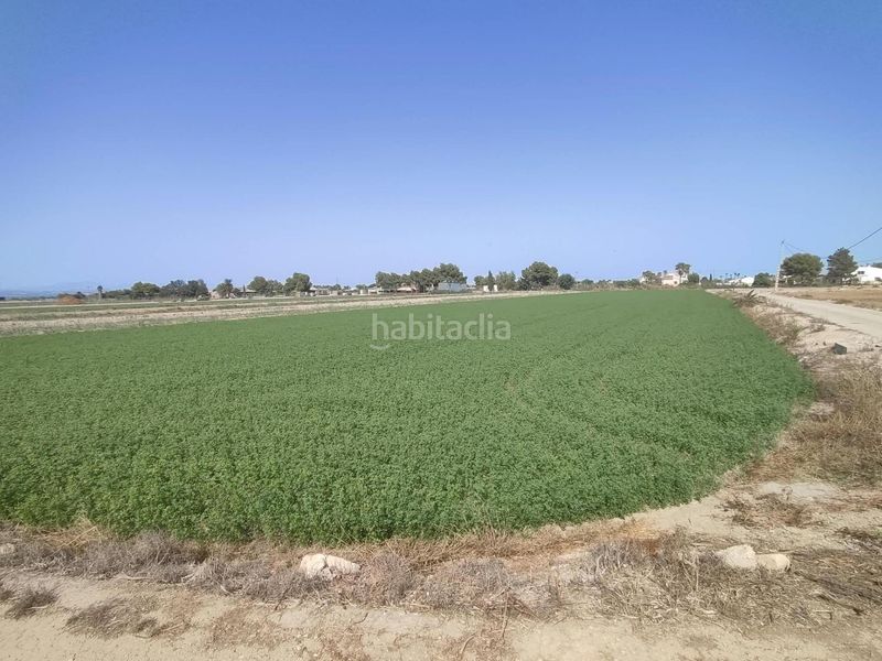 Foto dd02c9af-b84e-48cd-bfec-d833c77feee8. Finca rústica a Dolores