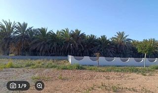 Finca rústica en Catral. Excelente oportunidad de inversión rústica en catral!