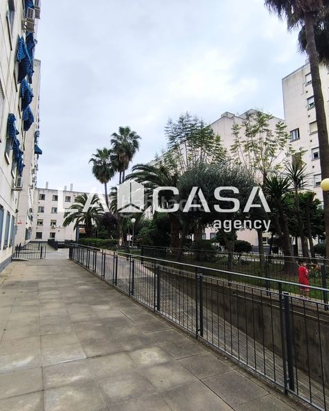 Foto 956c913e-0ba2-4fc2-b665-d1b61e4e18fa. Pis a Pino Montano - Consolación Sevilla