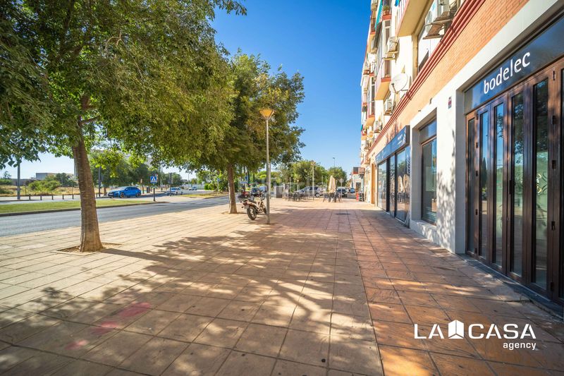 Foto 824faf4a-71a2-4749-9864-89d732535a65. Pis a Bellavista Sevilla