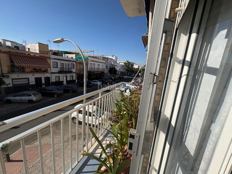 Foto 7461a494-6b29-4a87-9f74-89ceb28f7786. Pis a Torreblanca Sevilla