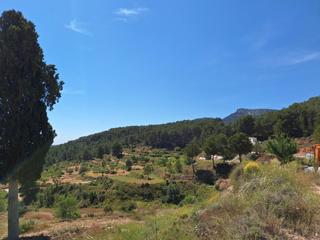 Finca rústica en Castalla. Parcela terreno rustico con produccion agricola a 3km. de castal