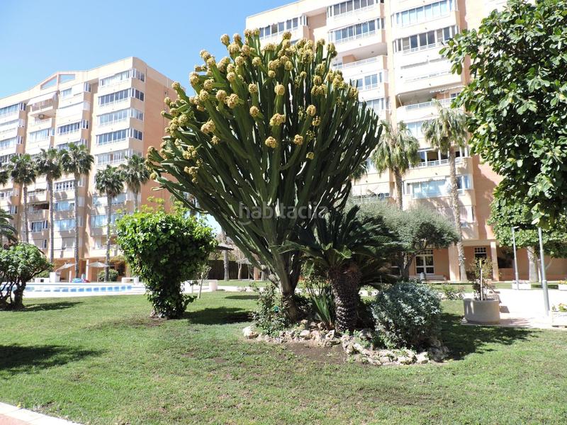 Foto 7ef65ce4-7b09-452b-aa7f-13aa99145839. Piso  todo exterior, soleado, urb. completa, garajetrastero a 5 minutos Playa de San Juan en Alicante