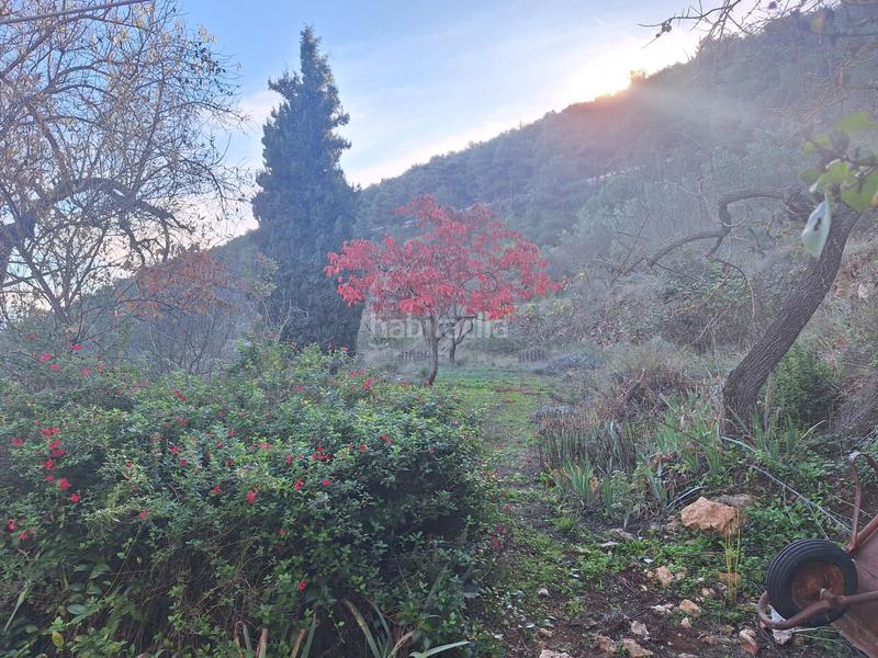 Foto 1c45351b-3027-446e-9f83-7516b582130c. House in Centre-Zona Alta Alcoi