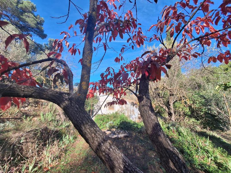 Foto 499bd4e0-b4ce-468d-868e-b6326447d0c1. House in Centre-Zona Alta Alcoi