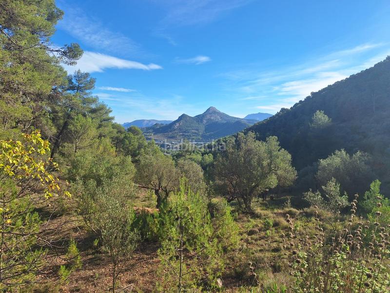 Foto 53a0d8ff-2612-485f-b54a-2eba4b86e04f. House in Centre-Zona Alta Alcoi