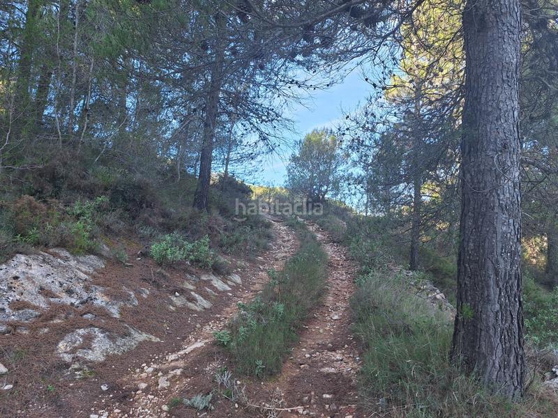 Foto 5a3f09e2-d862-4d3d-804d-e6fc328a37b1. House in Centre-Zona Alta Alcoi