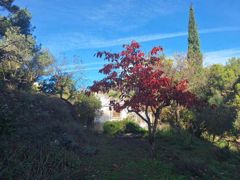 Foto 6eba7022-2548-4de2-b9cc-bfbe524e8c55. House in Centre-Zona Alta Alcoi