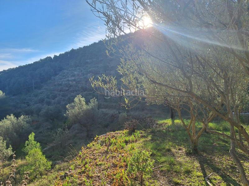 Foto 8b1db530-24bc-4f45-93e3-018cdf22a448. House in Centre-Zona Alta Alcoi