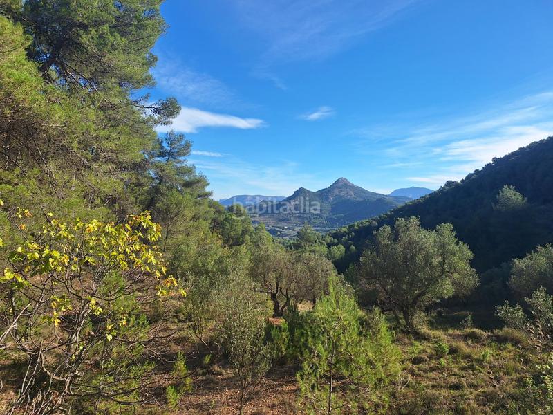 Foto f99cde51-447f-4e77-964b-3df123ec3c92. House in Centre-Zona Alta Alcoi