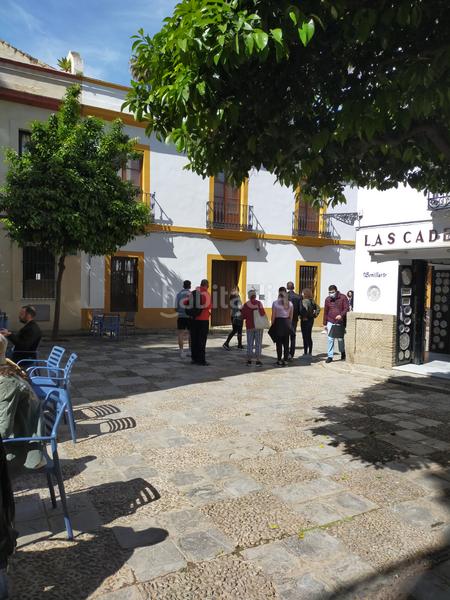 Foto 17664ad9-e4ff-4cea-86a5-553cd3a65396. Appartement dans Alfalfa - Santa Cruz Sevilla