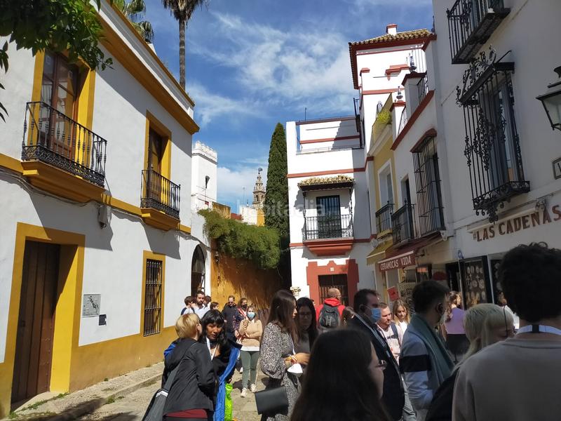 Foto 25336d22-6821-423b-aaa6-f805d61a8511. Appartement dans Alfalfa - Santa Cruz Sevilla