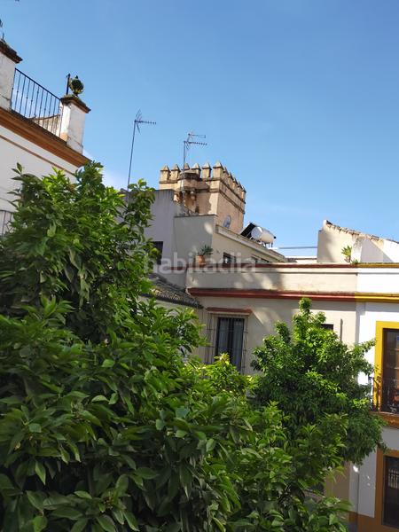 Foto 98cf5f9b-46e1-4ad0-b523-87ab3b8d0036. Appartement dans Alfalfa - Santa Cruz Sevilla