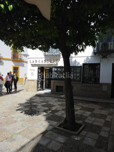 Foto cf3a7cad-8fe1-432e-a592-53107c895a5e. Appartement dans Alfalfa - Santa Cruz Sevilla