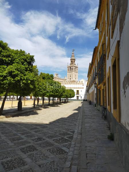Foto d383160f-ce27-4a8b-b639-3faac24357e5. Appartement dans Alfalfa - Santa Cruz Sevilla