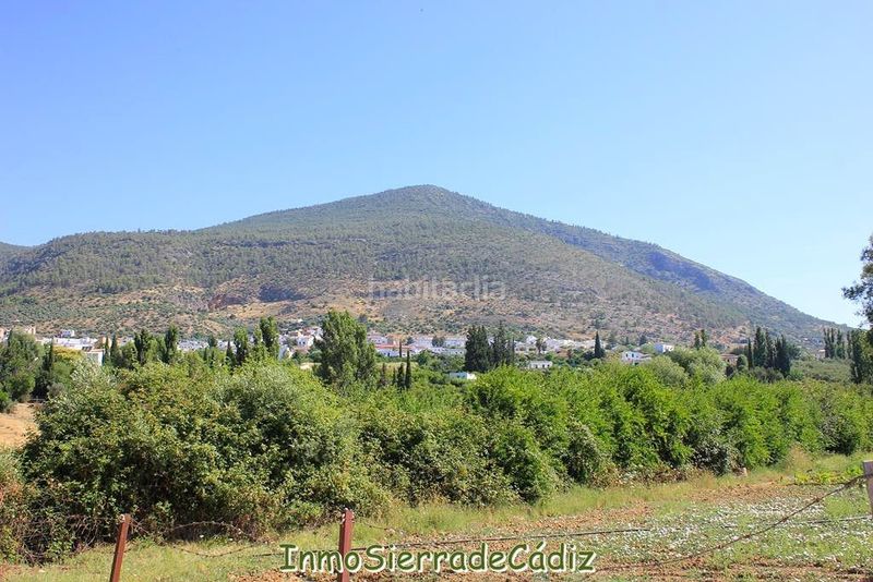 Foto 0b7bdc42-fee3-48ea-9df8-a5a6149fccee. Masia amb calefacció aparcament a Algodonales