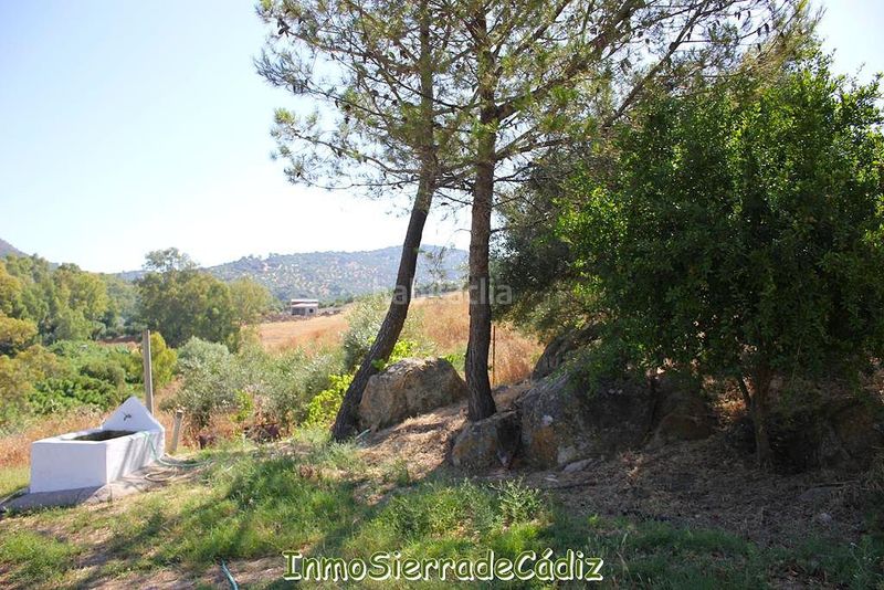 Foto 53a95817-922e-4b6f-b87e-06fc233522f8. Masia amb calefacció aparcament a Algodonales