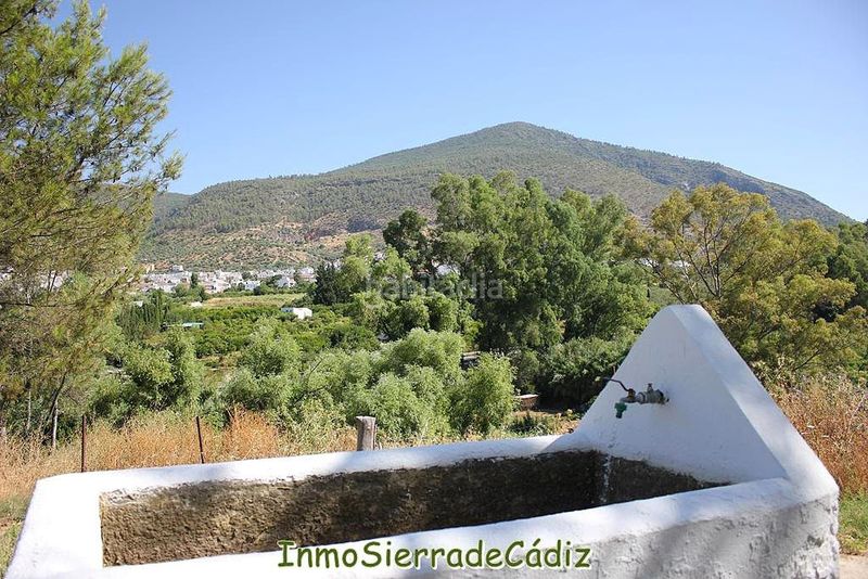 Foto cd795e30-b2a8-4fb5-bb8b-870d6de9c9c5. Masia amb calefacció aparcament a Algodonales