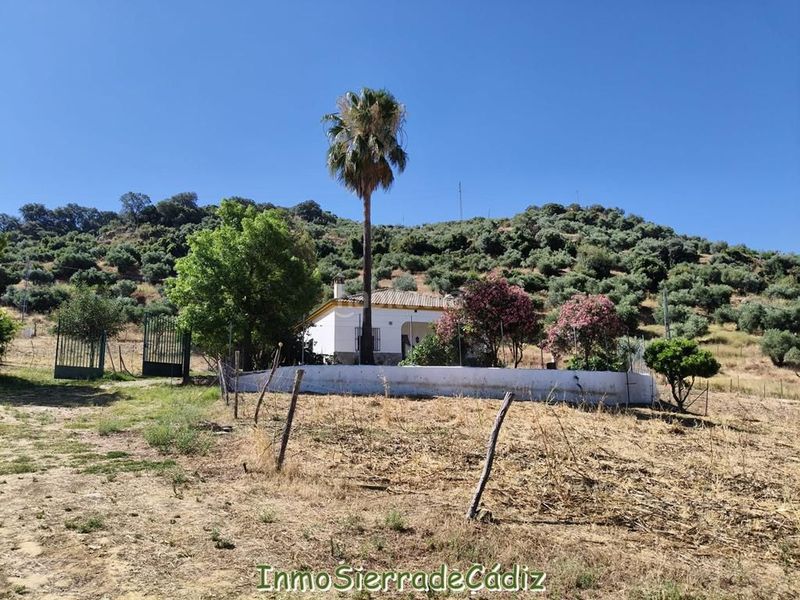Foto e7c0c398-98d1-4ea9-a72e-a14ebe8ff253. Masia amb calefacció aparcament a Algodonales