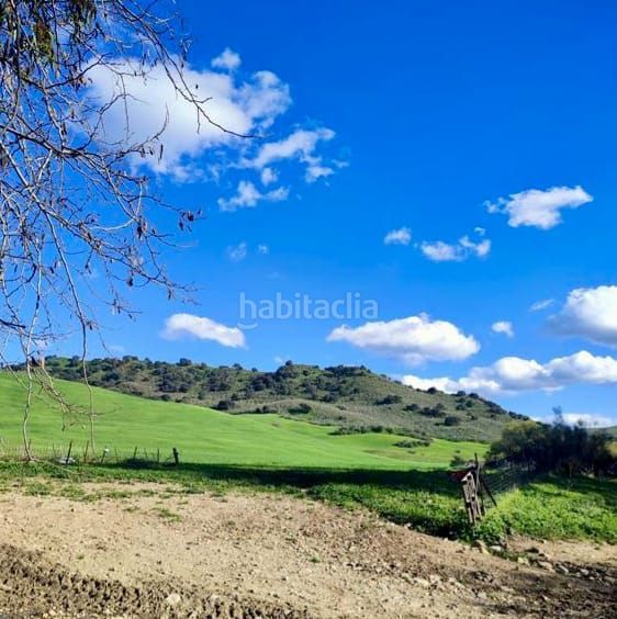 Foto 75f448b2-2127-41c5-9a21-b765e396e19d. Masia a Olvera